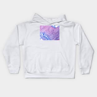 Peripheral nerve, light micrograph (C022/7315) Kids Hoodie